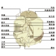 冷卻塔構造